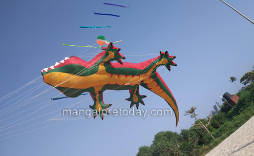 kite festival1...